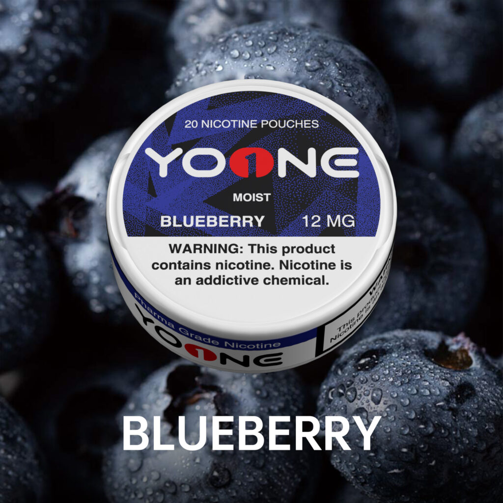 YOONE Blueberry 12MG(Moisture)