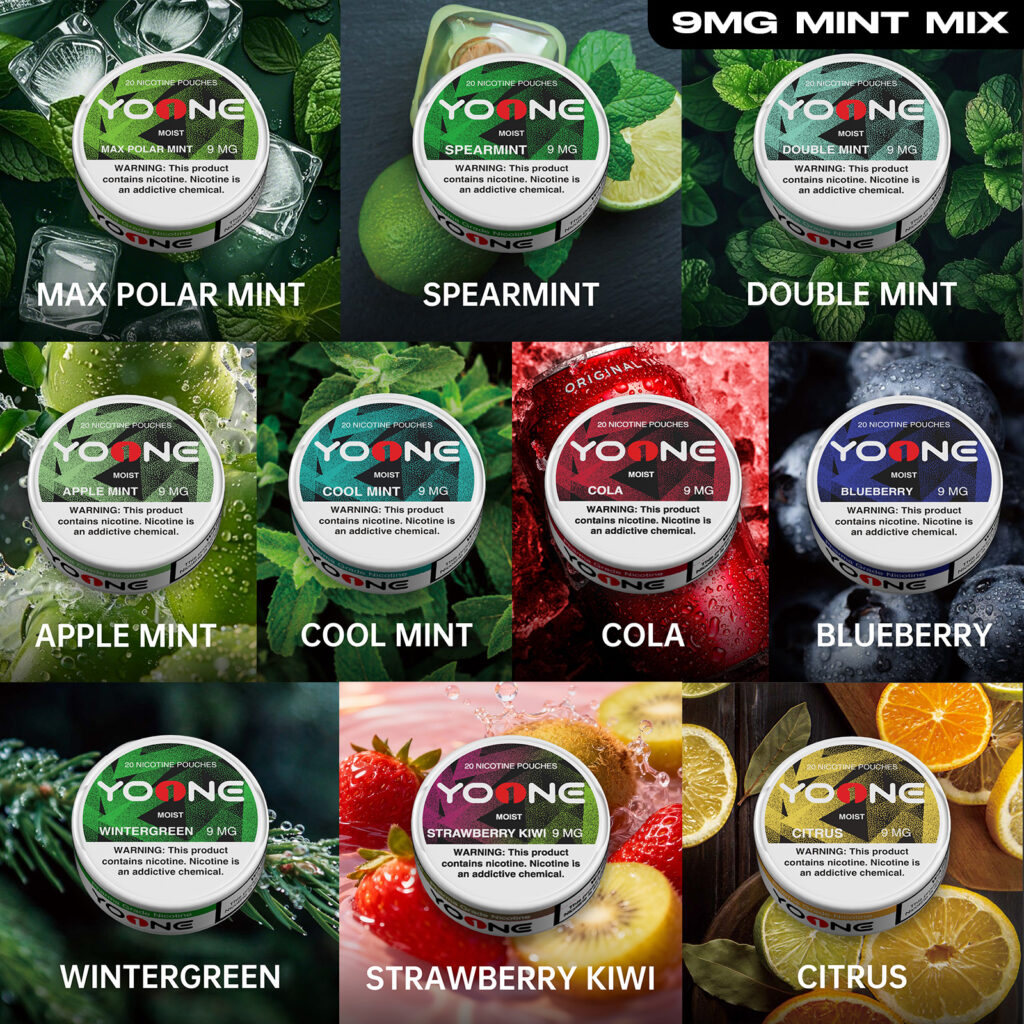 YOONE Pouches 9MG(Mint) package(Buy 5 Get 5 Free) 7 mints 3 fruits
